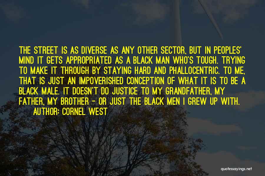 Cornel West Quotes: The Street Is As Diverse As Any Other Sector, But In Peoples' Mind It Gets Appropriated As A Black Man