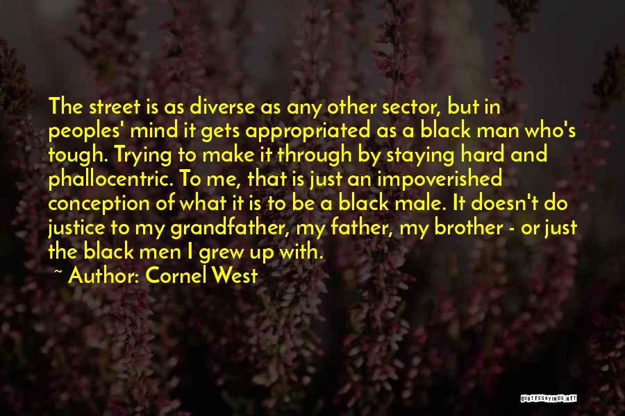 Cornel West Quotes: The Street Is As Diverse As Any Other Sector, But In Peoples' Mind It Gets Appropriated As A Black Man