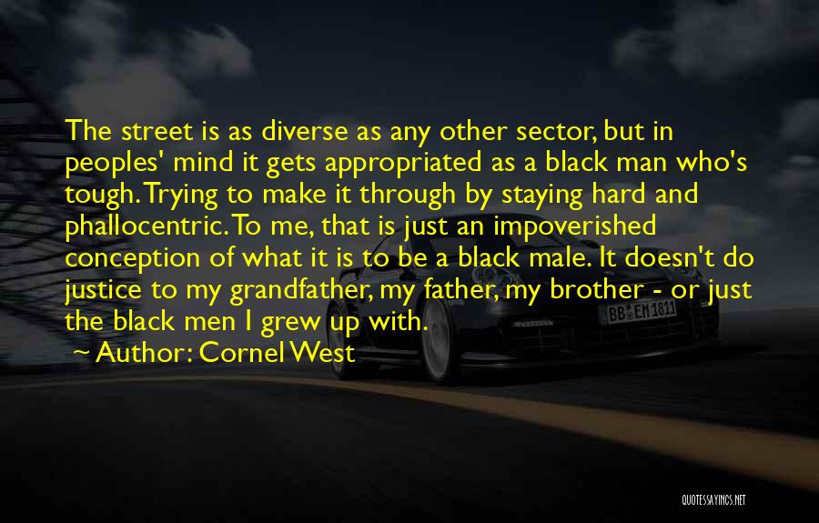 Cornel West Quotes: The Street Is As Diverse As Any Other Sector, But In Peoples' Mind It Gets Appropriated As A Black Man