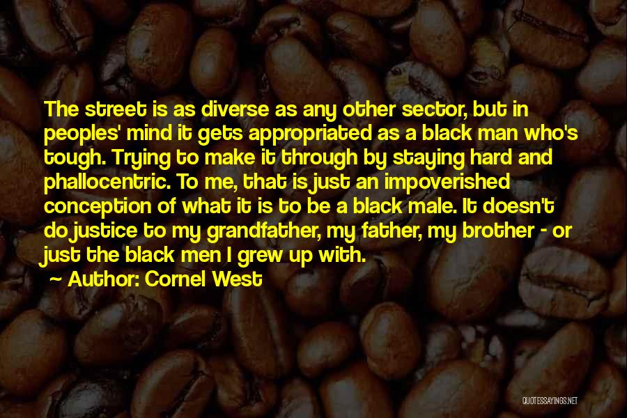 Cornel West Quotes: The Street Is As Diverse As Any Other Sector, But In Peoples' Mind It Gets Appropriated As A Black Man