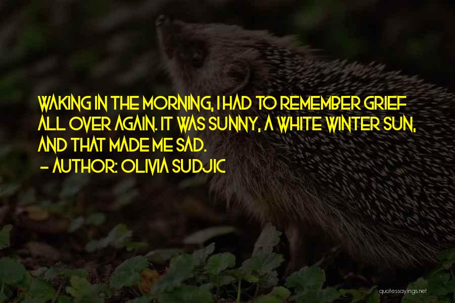 Olivia Sudjic Quotes: Waking In The Morning, I Had To Remember Grief All Over Again. It Was Sunny, A White Winter Sun, And