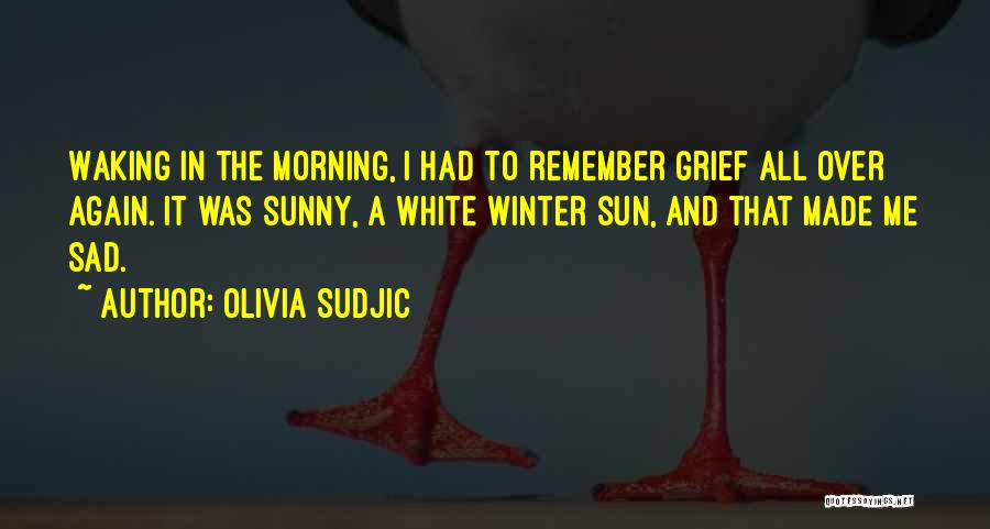 Olivia Sudjic Quotes: Waking In The Morning, I Had To Remember Grief All Over Again. It Was Sunny, A White Winter Sun, And