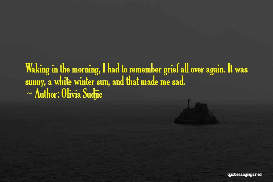 Olivia Sudjic Quotes: Waking In The Morning, I Had To Remember Grief All Over Again. It Was Sunny, A White Winter Sun, And