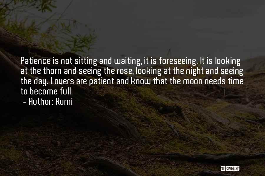 Rumi Quotes: Patience Is Not Sitting And Waiting, It Is Foreseeing. It Is Looking At The Thorn And Seeing The Rose, Looking