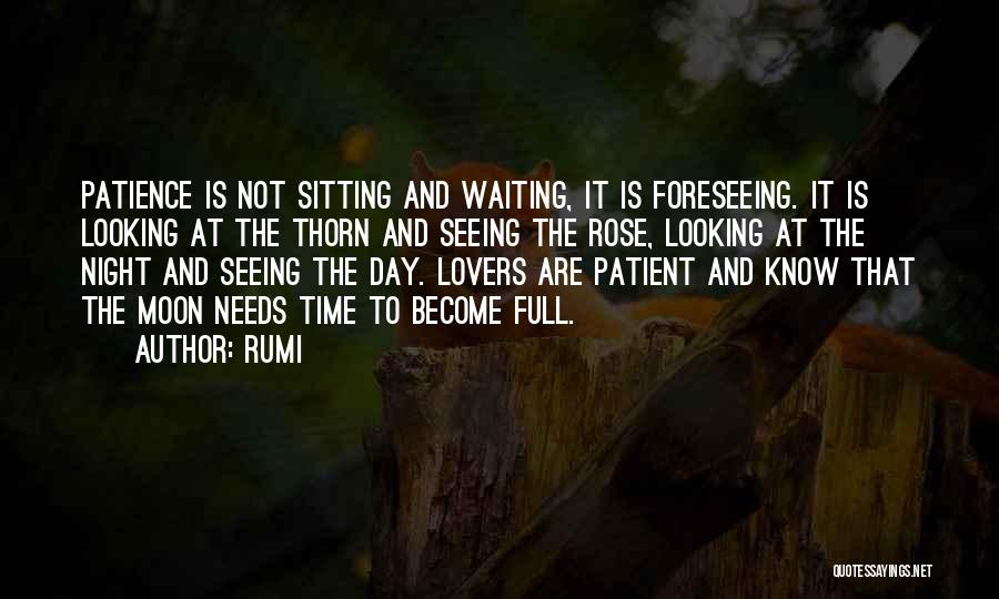 Rumi Quotes: Patience Is Not Sitting And Waiting, It Is Foreseeing. It Is Looking At The Thorn And Seeing The Rose, Looking