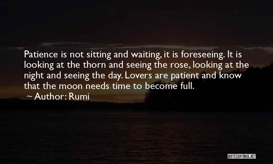 Rumi Quotes: Patience Is Not Sitting And Waiting, It Is Foreseeing. It Is Looking At The Thorn And Seeing The Rose, Looking