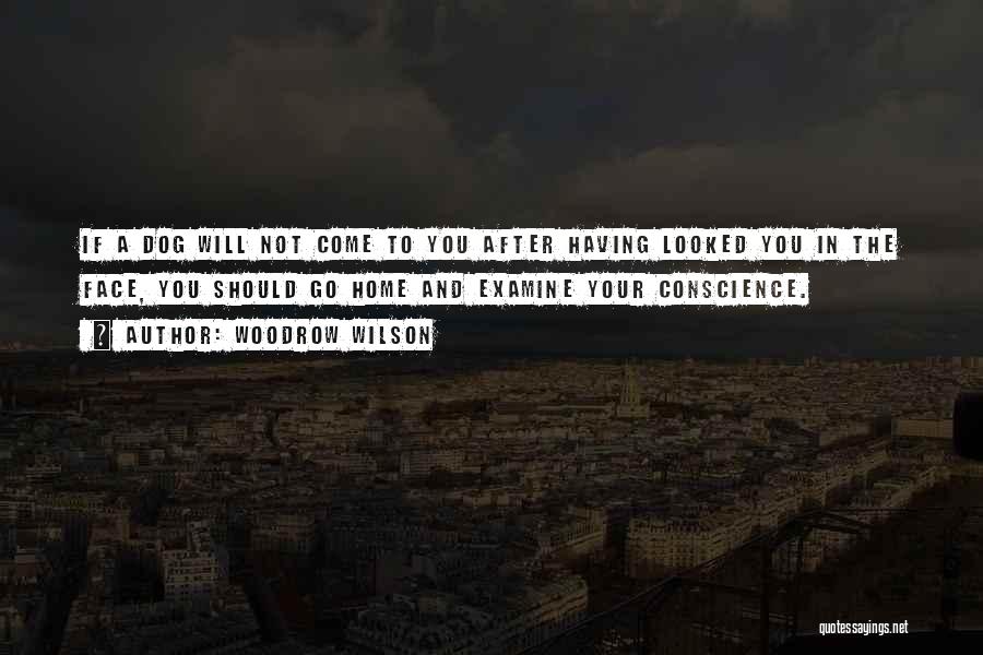 Woodrow Wilson Quotes: If A Dog Will Not Come To You After Having Looked You In The Face, You Should Go Home And