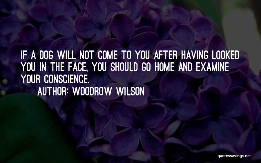 Woodrow Wilson Quotes: If A Dog Will Not Come To You After Having Looked You In The Face, You Should Go Home And