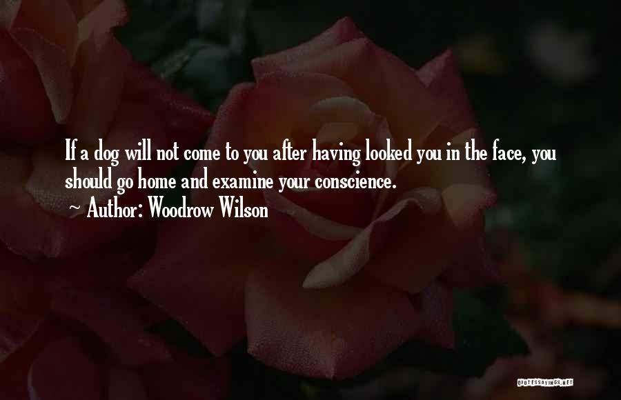 Woodrow Wilson Quotes: If A Dog Will Not Come To You After Having Looked You In The Face, You Should Go Home And