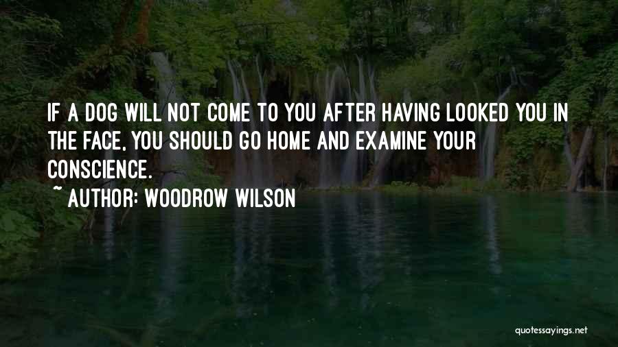 Woodrow Wilson Quotes: If A Dog Will Not Come To You After Having Looked You In The Face, You Should Go Home And