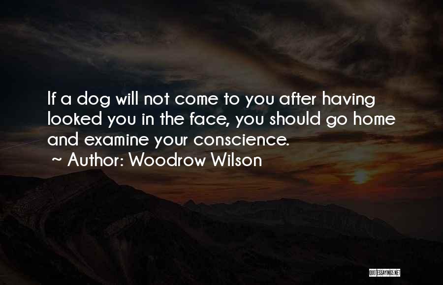 Woodrow Wilson Quotes: If A Dog Will Not Come To You After Having Looked You In The Face, You Should Go Home And