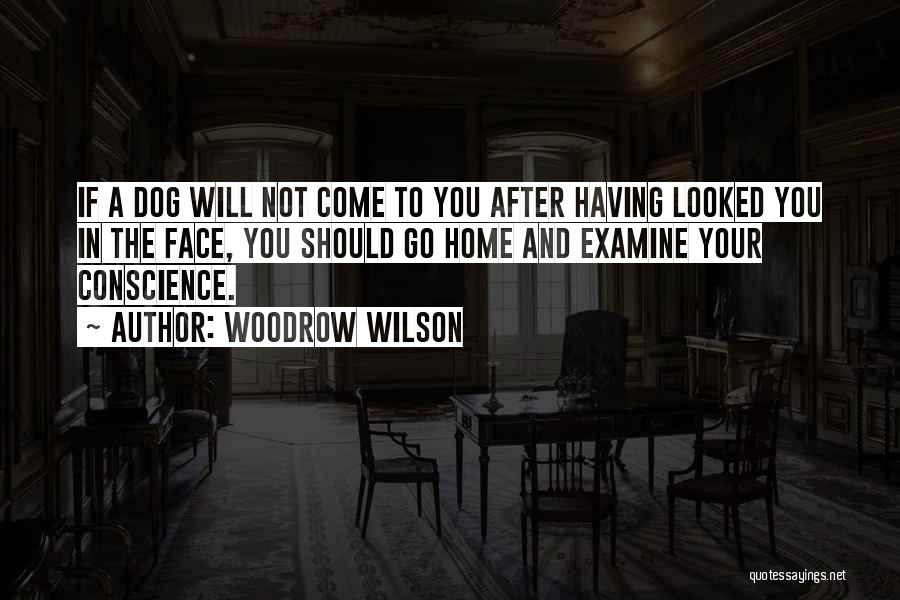 Woodrow Wilson Quotes: If A Dog Will Not Come To You After Having Looked You In The Face, You Should Go Home And