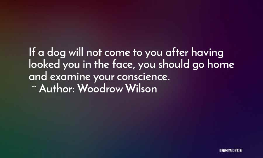 Woodrow Wilson Quotes: If A Dog Will Not Come To You After Having Looked You In The Face, You Should Go Home And