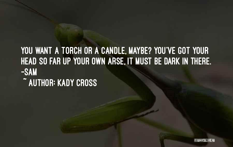 Kady Cross Quotes: You Want A Torch Or A Candle, Maybe? You've Got Your Head So Far Up Your Own Arse, It Must