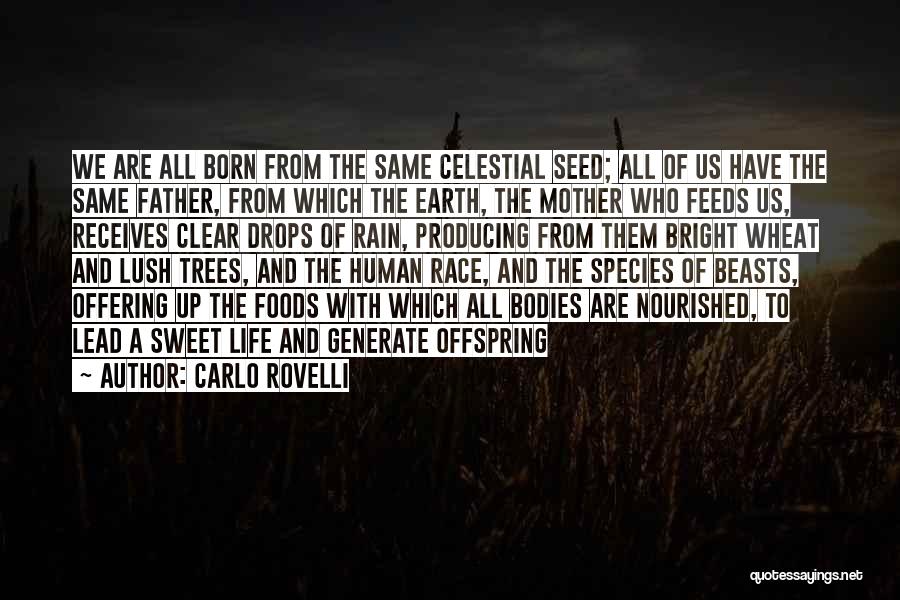 Carlo Rovelli Quotes: We Are All Born From The Same Celestial Seed; All Of Us Have The Same Father, From Which The Earth,