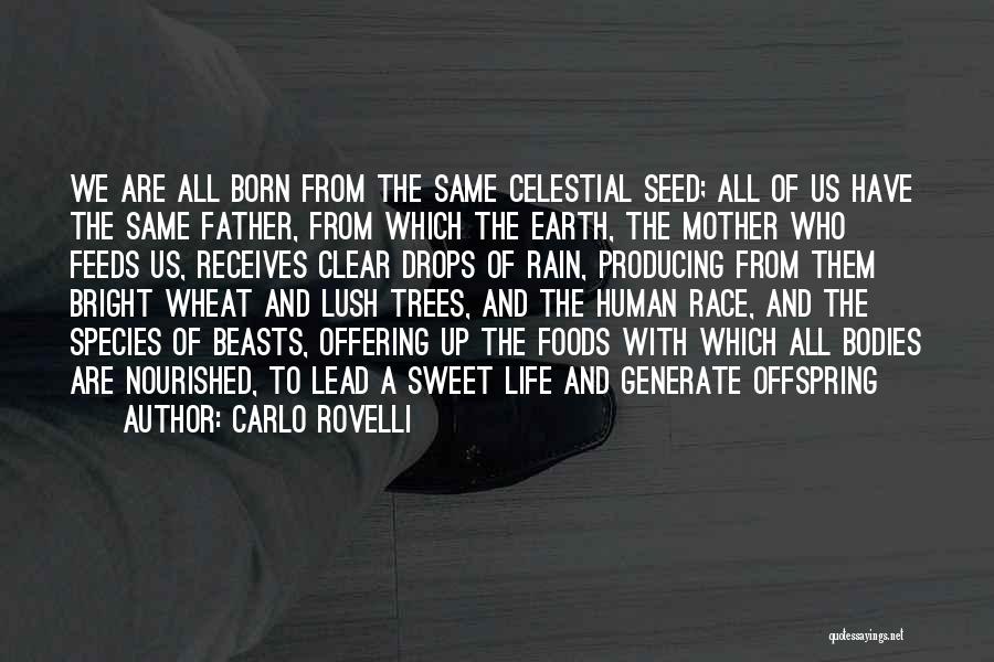 Carlo Rovelli Quotes: We Are All Born From The Same Celestial Seed; All Of Us Have The Same Father, From Which The Earth,