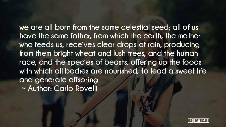 Carlo Rovelli Quotes: We Are All Born From The Same Celestial Seed; All Of Us Have The Same Father, From Which The Earth,