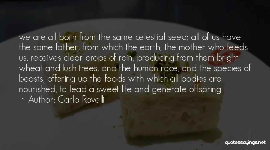 Carlo Rovelli Quotes: We Are All Born From The Same Celestial Seed; All Of Us Have The Same Father, From Which The Earth,