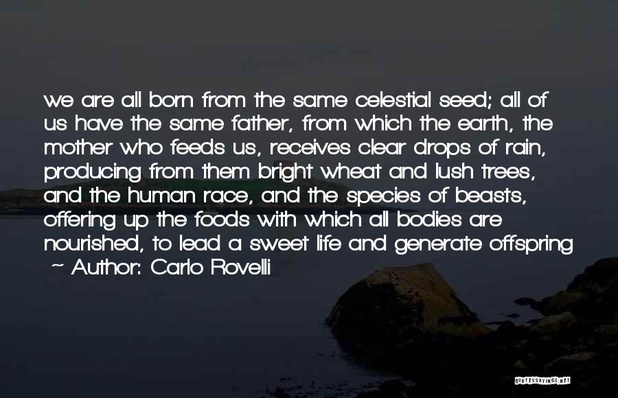 Carlo Rovelli Quotes: We Are All Born From The Same Celestial Seed; All Of Us Have The Same Father, From Which The Earth,