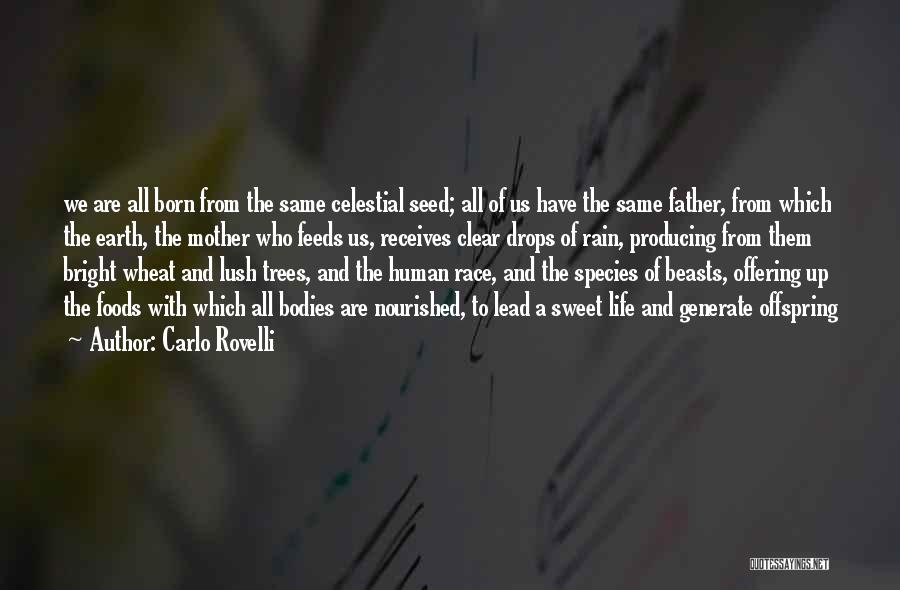 Carlo Rovelli Quotes: We Are All Born From The Same Celestial Seed; All Of Us Have The Same Father, From Which The Earth,