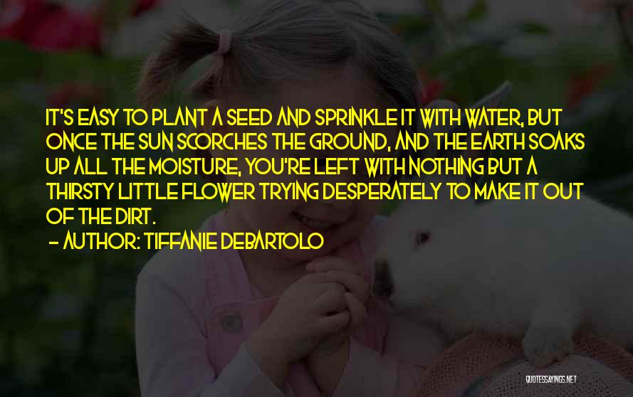 Tiffanie DeBartolo Quotes: It's Easy To Plant A Seed And Sprinkle It With Water, But Once The Sun Scorches The Ground, And The