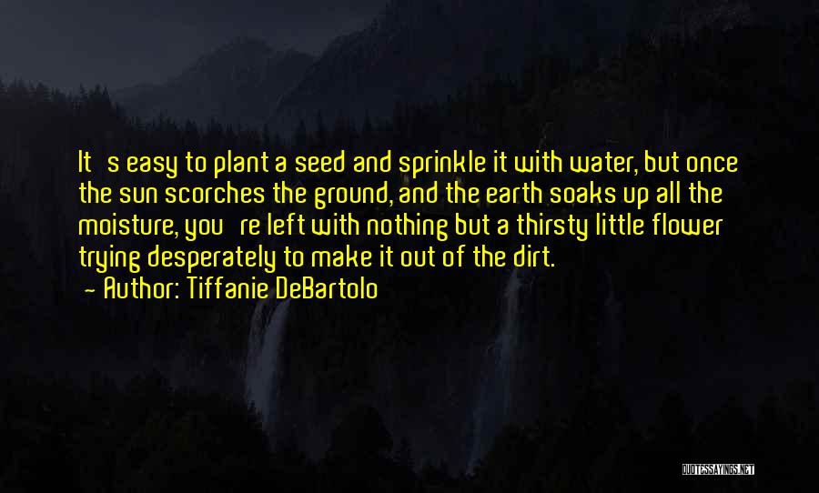 Tiffanie DeBartolo Quotes: It's Easy To Plant A Seed And Sprinkle It With Water, But Once The Sun Scorches The Ground, And The