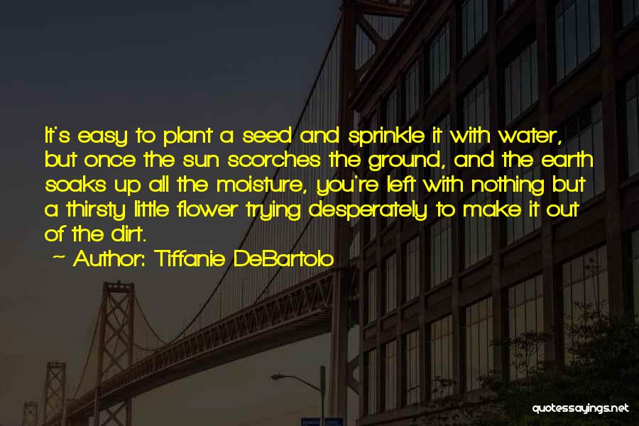 Tiffanie DeBartolo Quotes: It's Easy To Plant A Seed And Sprinkle It With Water, But Once The Sun Scorches The Ground, And The