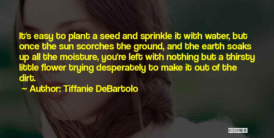 Tiffanie DeBartolo Quotes: It's Easy To Plant A Seed And Sprinkle It With Water, But Once The Sun Scorches The Ground, And The