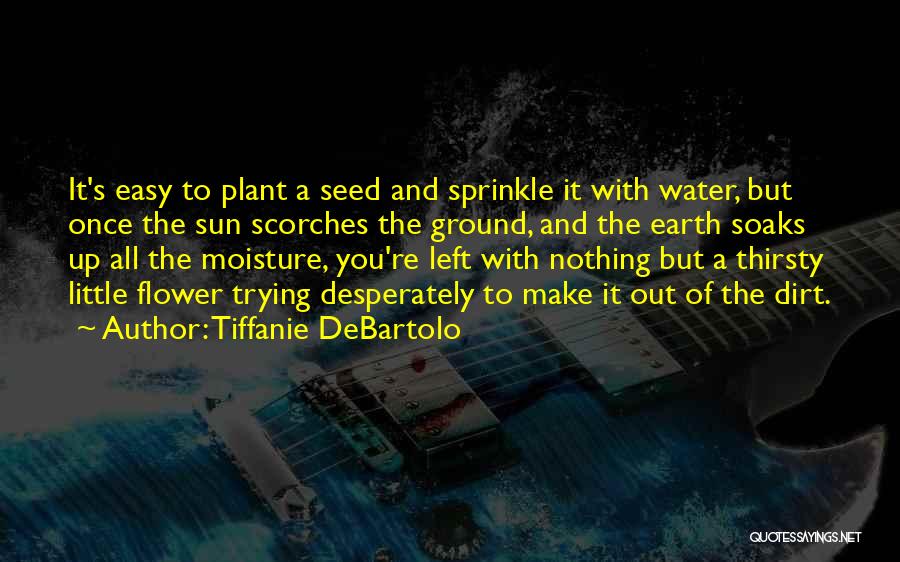 Tiffanie DeBartolo Quotes: It's Easy To Plant A Seed And Sprinkle It With Water, But Once The Sun Scorches The Ground, And The