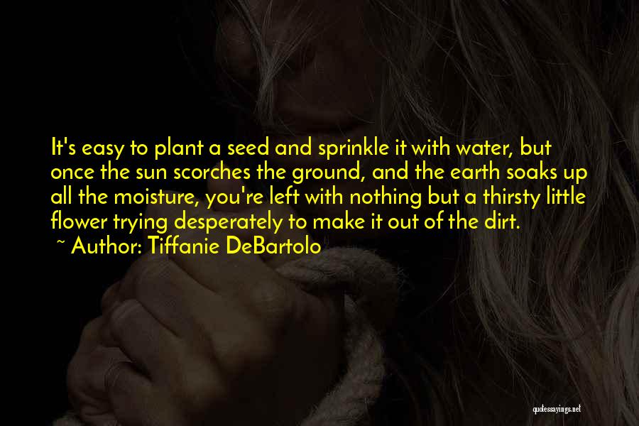 Tiffanie DeBartolo Quotes: It's Easy To Plant A Seed And Sprinkle It With Water, But Once The Sun Scorches The Ground, And The