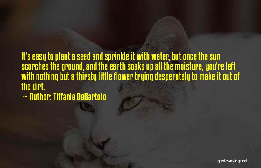 Tiffanie DeBartolo Quotes: It's Easy To Plant A Seed And Sprinkle It With Water, But Once The Sun Scorches The Ground, And The