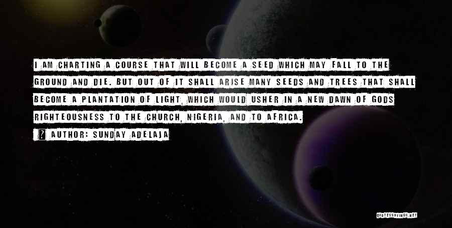 Sunday Adelaja Quotes: I Am Charting A Course That Will Become A Seed Which May Fall To The Ground And Die. But Out