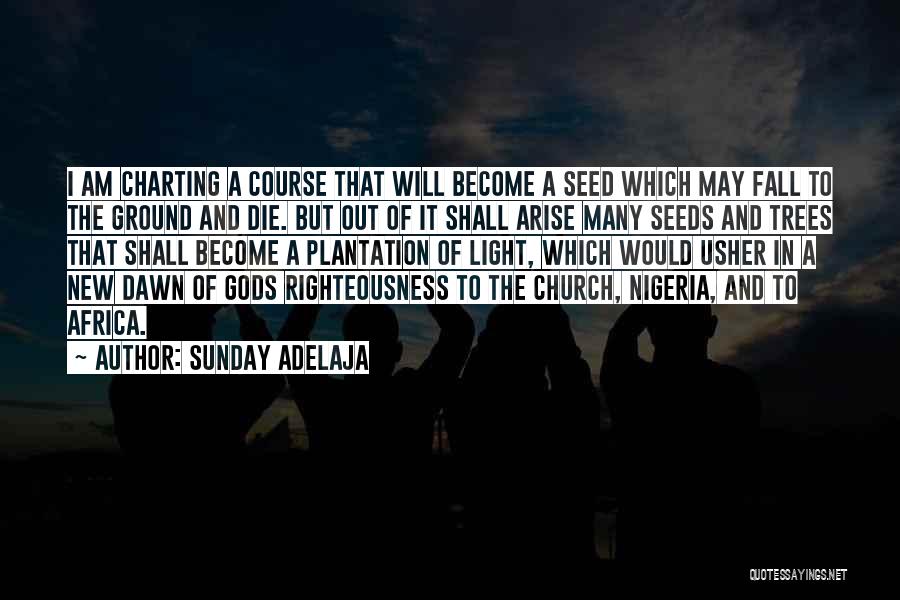 Sunday Adelaja Quotes: I Am Charting A Course That Will Become A Seed Which May Fall To The Ground And Die. But Out