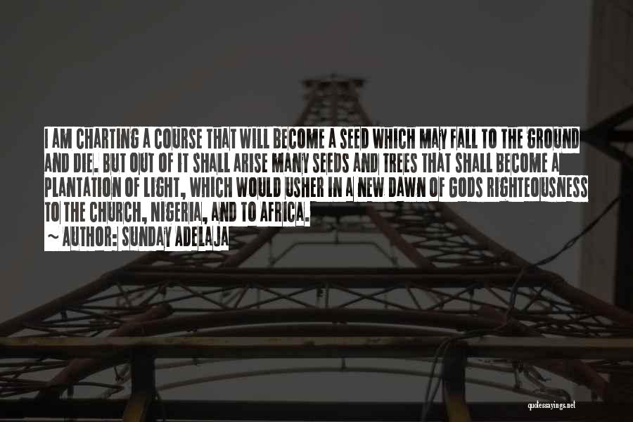 Sunday Adelaja Quotes: I Am Charting A Course That Will Become A Seed Which May Fall To The Ground And Die. But Out