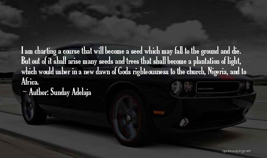 Sunday Adelaja Quotes: I Am Charting A Course That Will Become A Seed Which May Fall To The Ground And Die. But Out