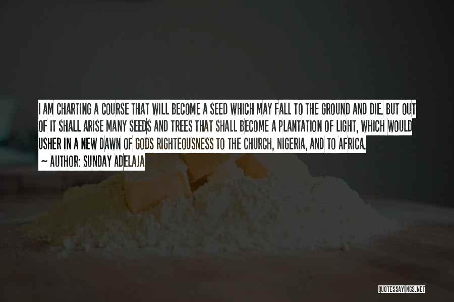 Sunday Adelaja Quotes: I Am Charting A Course That Will Become A Seed Which May Fall To The Ground And Die. But Out