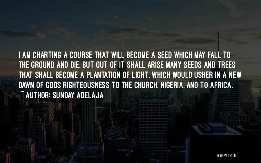 Sunday Adelaja Quotes: I Am Charting A Course That Will Become A Seed Which May Fall To The Ground And Die. But Out