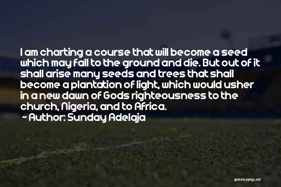Sunday Adelaja Quotes: I Am Charting A Course That Will Become A Seed Which May Fall To The Ground And Die. But Out
