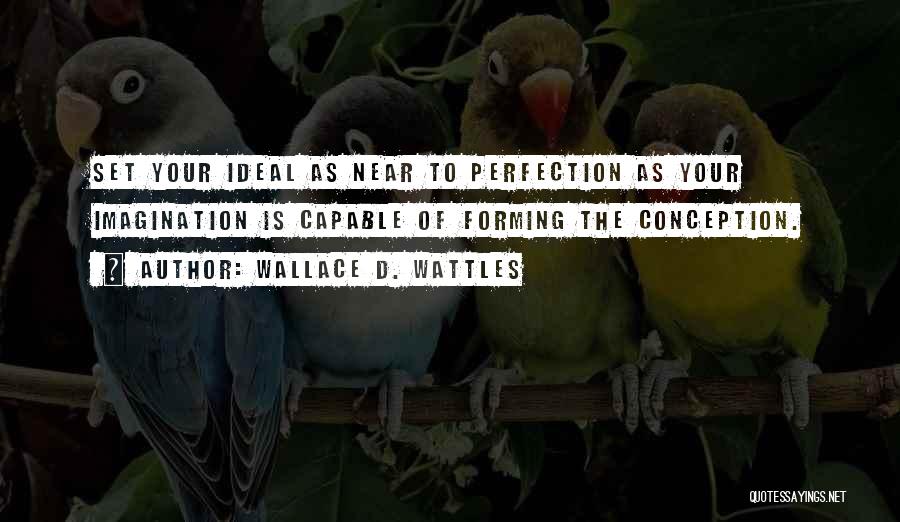 Wallace D. Wattles Quotes: Set Your Ideal As Near To Perfection As Your Imagination Is Capable Of Forming The Conception.