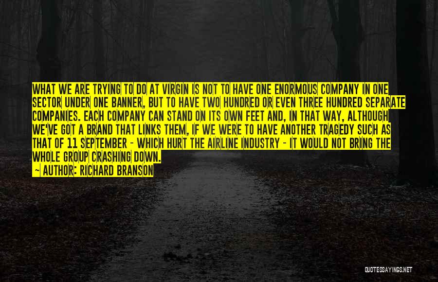 Richard Branson Quotes: What We Are Trying To Do At Virgin Is Not To Have One Enormous Company In One Sector Under One