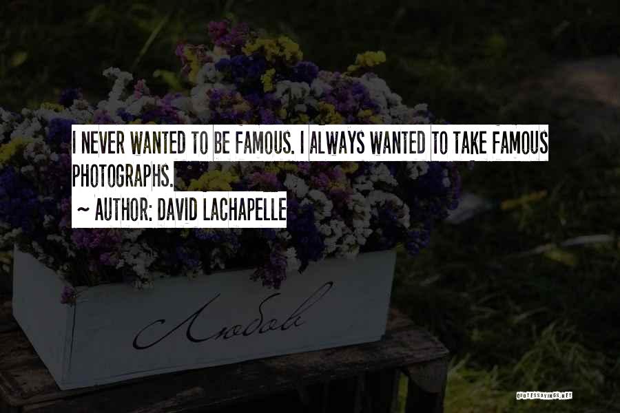 David LaChapelle Quotes: I Never Wanted To Be Famous. I Always Wanted To Take Famous Photographs.