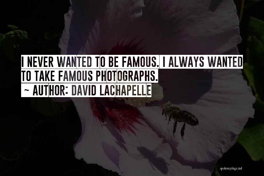 David LaChapelle Quotes: I Never Wanted To Be Famous. I Always Wanted To Take Famous Photographs.