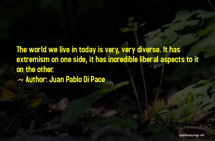 Juan Pablo Di Pace Quotes: The World We Live In Today Is Very, Very Diverse. It Has Extremism On One Side, It Has Incredible Liberal