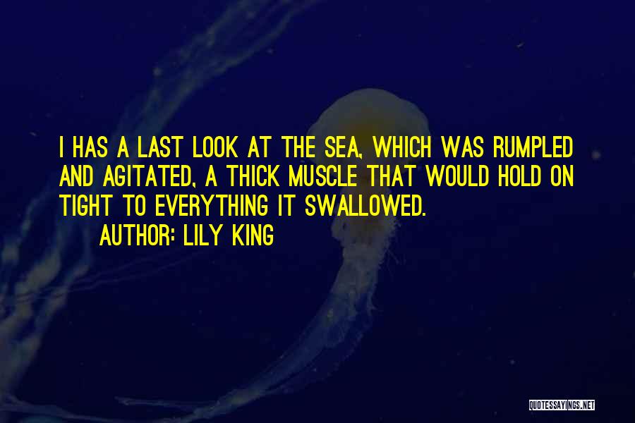 Lily King Quotes: I Has A Last Look At The Sea, Which Was Rumpled And Agitated, A Thick Muscle That Would Hold On