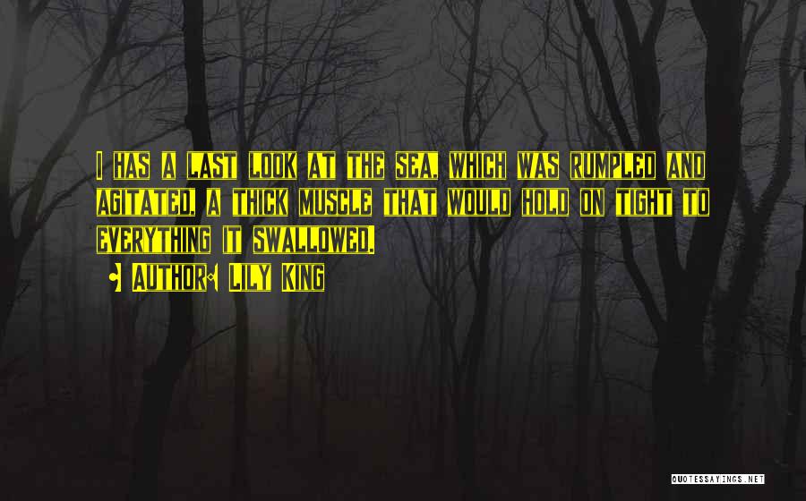 Lily King Quotes: I Has A Last Look At The Sea, Which Was Rumpled And Agitated, A Thick Muscle That Would Hold On