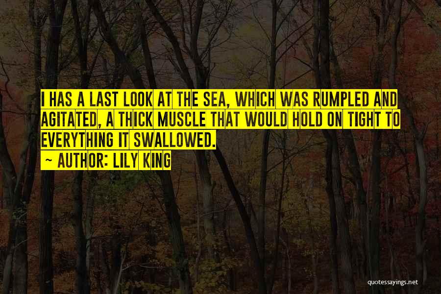 Lily King Quotes: I Has A Last Look At The Sea, Which Was Rumpled And Agitated, A Thick Muscle That Would Hold On