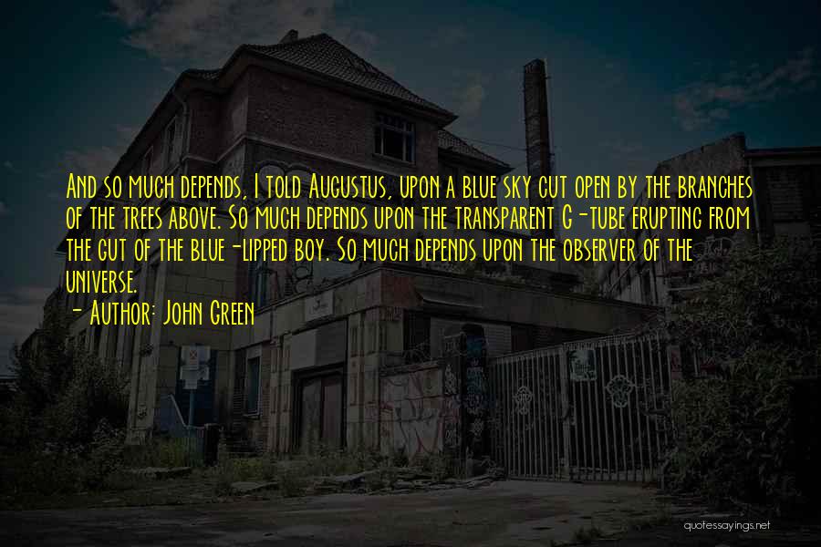 John Green Quotes: And So Much Depends, I Told Augustus, Upon A Blue Sky Cut Open By The Branches Of The Trees Above.