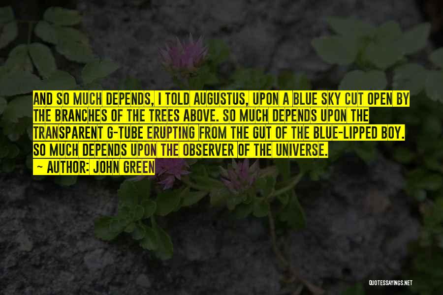 John Green Quotes: And So Much Depends, I Told Augustus, Upon A Blue Sky Cut Open By The Branches Of The Trees Above.