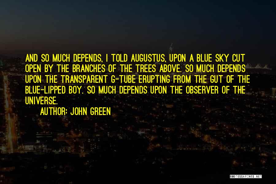 John Green Quotes: And So Much Depends, I Told Augustus, Upon A Blue Sky Cut Open By The Branches Of The Trees Above.