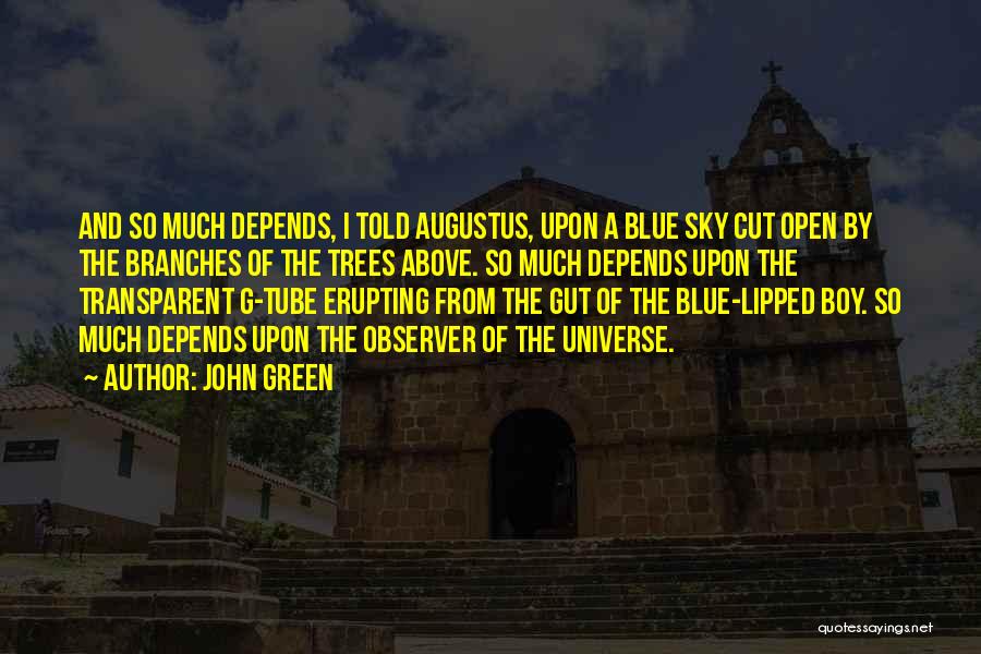 John Green Quotes: And So Much Depends, I Told Augustus, Upon A Blue Sky Cut Open By The Branches Of The Trees Above.